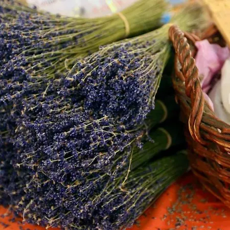 Vieille - 3 Pieces Centre Historique & *