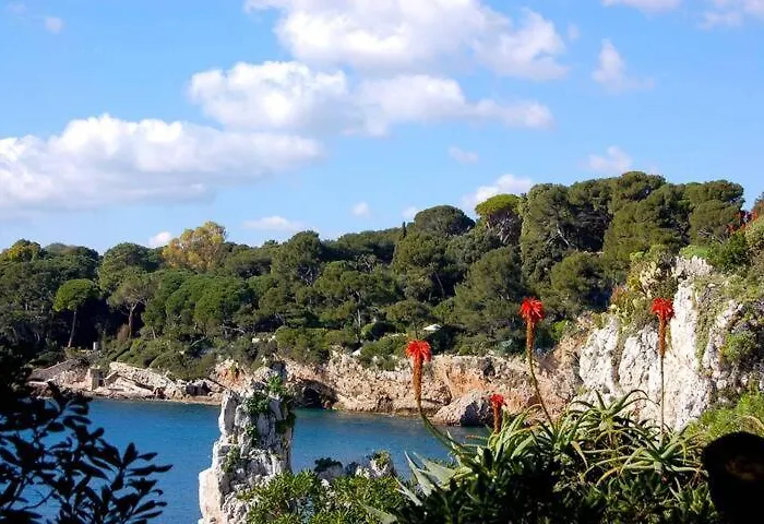 公寓 Vieille - 3 Pieces Centre Historique & *